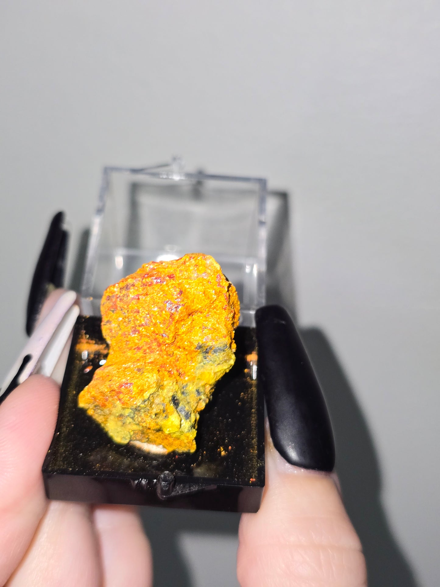 Realgar Specimen in Display Case | Rare Collector Mineral